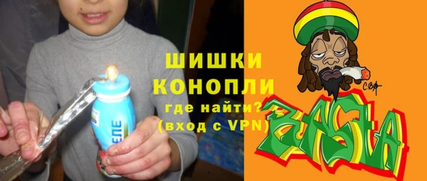 метадон Алексин