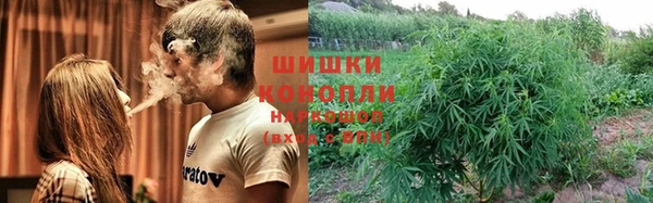 метадон Алексин