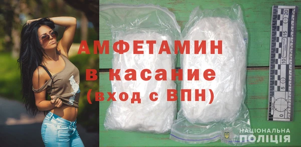 метадон Алексин