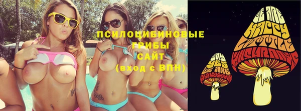 гидра Алзамай